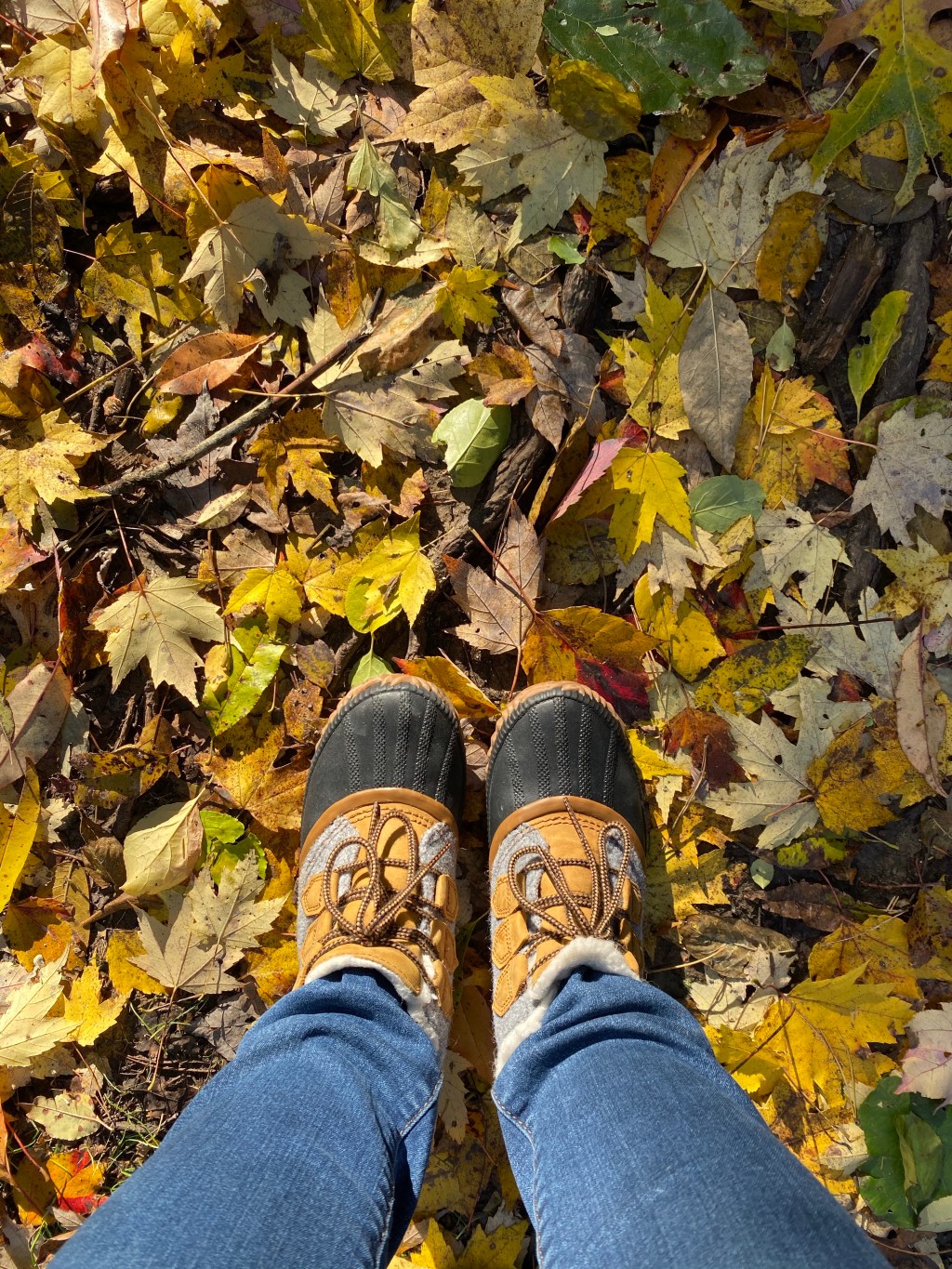 keeping up with the&nbsp;seasons